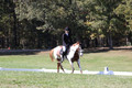 Holly Holbrook on Two Bet Chloe, Beginner Novice Horse Trials Junior A