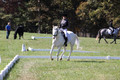 Kay Brady on Destiny's Mystique, Beginner Novice Horse Trials Senior C