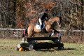 Emily Beshear on My Combination, Novice Horse Trials Senior