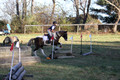 Reagan Roy on Paint By Numbers, Green Horse Trials Junior