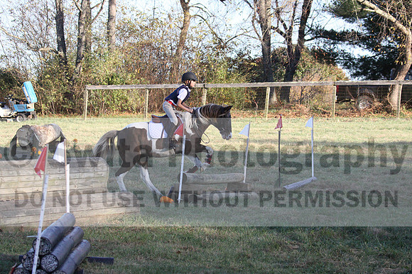 Reagan Roy on Paint By Numbers, Green Horse Trials Junior