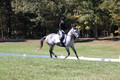 Michele Gnozzio on Dazzling, Beginner Novice Horse Trials Senior C