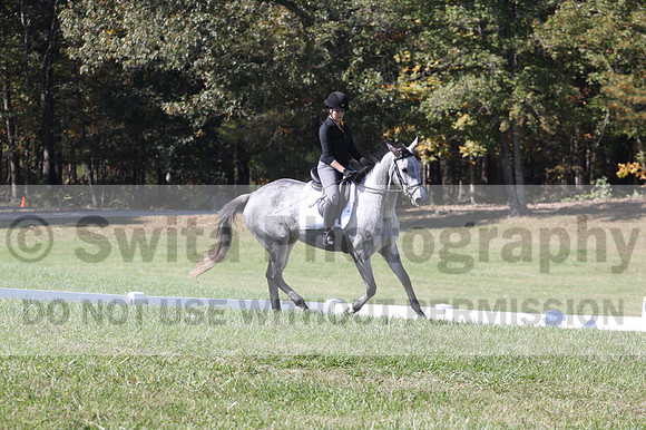 Michele Gnozzio on Dazzling, Beginner Novice Horse Trials Senior C