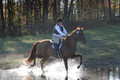 Elizabeth Brown on Adagio, Advanced Green Horse Trials Senior A