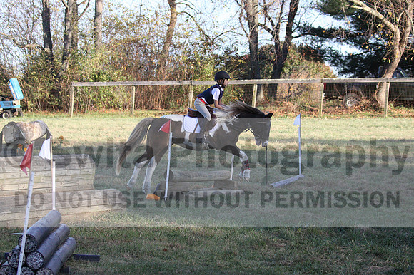 Reagan Roy on Paint By Numbers, Green Horse Trials Junior