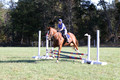 Amy Parsons on Wren Wrouge, Advanced Green Horse Trials A