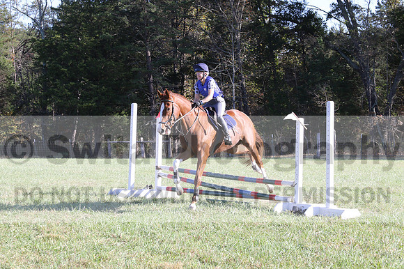 Amy Parsons on Wren Wrouge, Advanced Green Horse Trials A