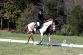 Holly Holbrook on Two Bet Chloe, Beginner Novice Horse Trials Junior A
