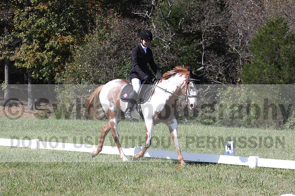 Holly Holbrook on Two Bet Chloe, Beginner Novice Horse Trials Junior A
