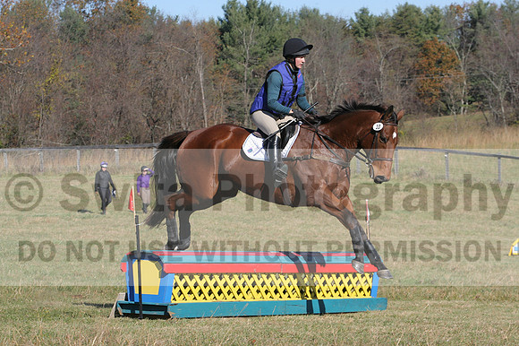 Maegan Bingham on Tribal Prospect, Novice Horse Trials Senior