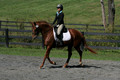 Jenny Rosner on Curious, Advanced Green HT Senior