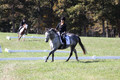 Michele Gnozzio on Dazzling, Beginner Novice Horse Trials Senior C