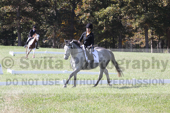 Michele Gnozzio on Dazzling, Beginner Novice Horse Trials Senior C