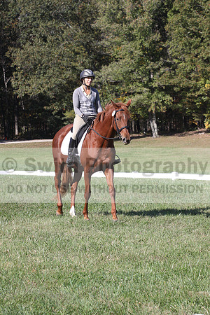 Jenny Rosner on Curious, Beginner Novice Horse Trials Senior A