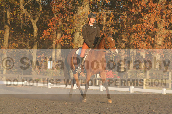 Chris Nicholson on Port Of Call, Dressage Only: First Level, Test 1
