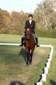 Paula McConnell on Summers Lilac, Dressage Only: Beginner Novice A
