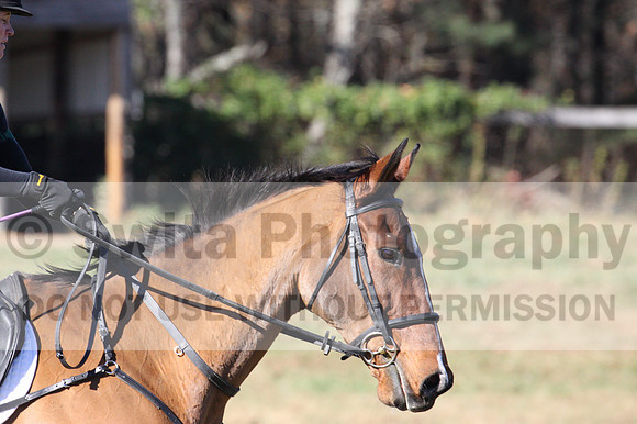 Emily Beshear on My Combination, Novice Horse Trials Senior