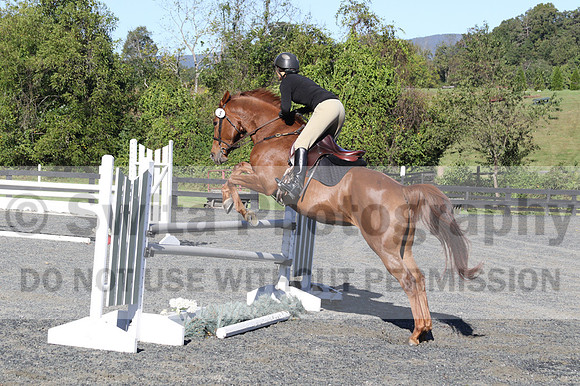 Jenny Rosner on Abbey Moon, Training HT