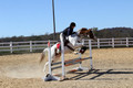 Corrine Woods on Chief's Star Dreammaker, Beginner Novice Horse Trials Senior B
