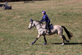 Brynn Katany on Cady O'Daly Artisan, Beginner Novice Horse Trials Junior A
