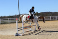 Corrine Woods on Chief's Star Dreammaker, Beginner Novice Horse Trials Senior B