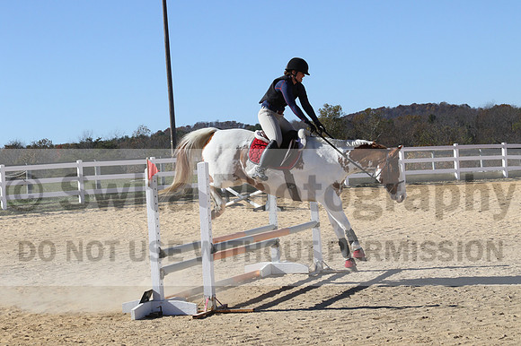 Corrine Woods on Chief's Star Dreammaker, Beginner Novice Horse Trials Senior B