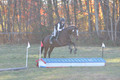 Ella Grier on Jean Louis Finch, Advanced Green Horse Trials Junior B