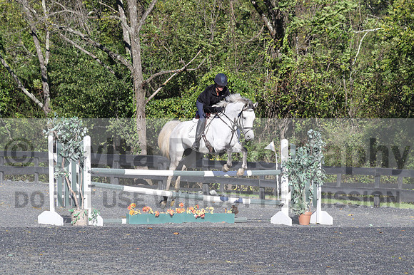 Liz Riley on Ice Storm, Novice HT