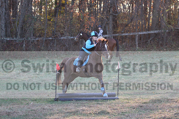 Alison O'Connor on Harwich Maximus, Green Horse Trials Senior