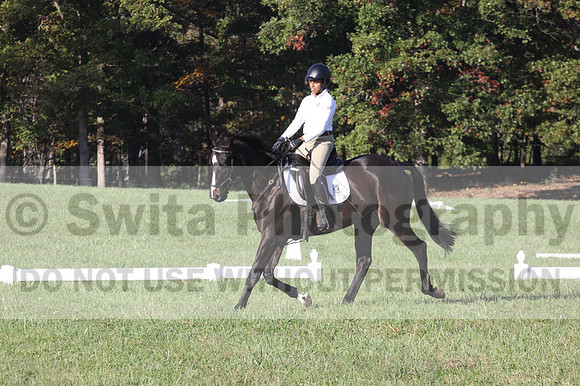 Anna White on Rocking The Ark, Novice Horse Trials Senior A