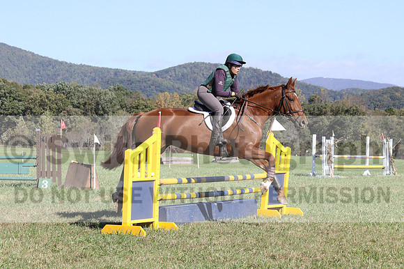 Terry Adcock on Irish Belle, Novice Horse Trials Senior B, Dressage Only: First Level, Test 2