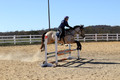 Brynn Katany on Cady O'Daly Artisan, Beginner Novice Horse Trials Junior A
