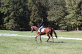 Katie LaValle on High Speed Internet, Beginner Novice Horse Trials Senior A