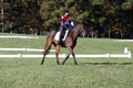 Shannon Daily on Pitt Maneuver, Novice Horse Trials Senior B