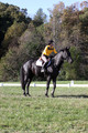 Madlen Lesesne on SBF Figaro, Advanced Green Horse Trials B