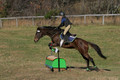 Abby McGowan on Civil Bond, Beginner Novice Horse Trials Junior B