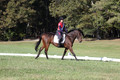 Shannon Daily on Pitt Maneuver, Novice Horse Trials Senior B