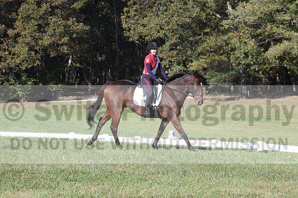 Shannon Daily on Pitt Maneuver, Novice Horse Trials Senior B