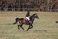 CJ Weldon on Talleyrand, Novice Horse Trials Senior
