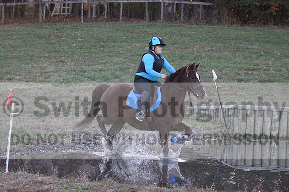 Alison O'Connor on Harwich Maximus, Green Horse Trials Senior