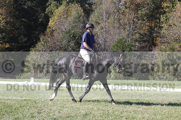 Paul Pinner on MLC Irish Rapture, Advanced Green Horse Trials A