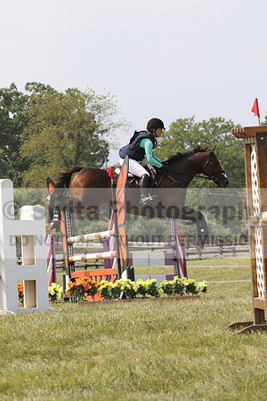 Nita Sanfillippo on Alarmabull, OI