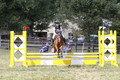Aubrie Wyatt on Mint Julep, JBN