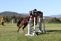 Carol Brickey on Throwing Stones, Advanced Green Horse Trials B