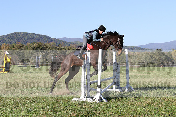 Carol Brickey on Throwing Stones, Advanced Green Horse Trials B