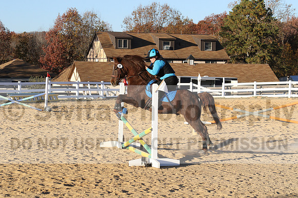 Alison O'Connor on Harwich Maximus, Green Horse Trials Senior