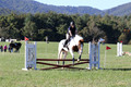 Elizabeth Schooley on Pearl, Advanced Green Horse Trials A