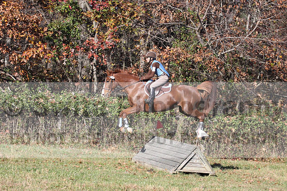 Laura DeAngelo on Raptana High, Training Horse Trials