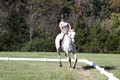 Carolyn Rutledge on Izzy, Advanced Green Horse Trials A