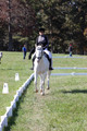 Kay Brady on Destiny's Mystique, Beginner Novice Horse Trials Senior C